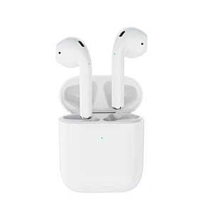 DibetWear-IM2 apple style earbuds